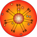 Thumbnail for version as of 16:08, 3 November 2024